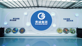 华体买球